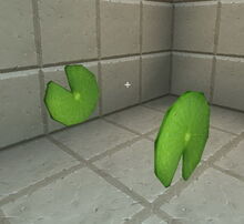 Creativerse lilypad backside identical 2018-07-02 16-02-52-43.jpg