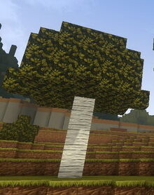 Creativerse Ashenwood self grown1002.jpg