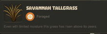 Creativerse Savannah Tallgrass3030.jpg