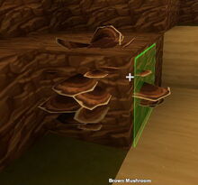 Creativerse 03 brown mushroom10011.jpg
