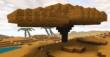 Creativerse parchwood 2019-05-26 23-12-41-94.jpg