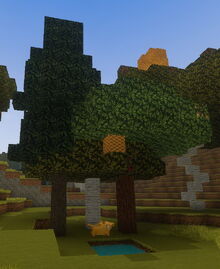 Creativerse 3 trees elderwood from sapling long 2017-07-30 09-49-49-62.jpg