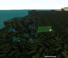 Creativerse Blue flowers regrow0101.jpg