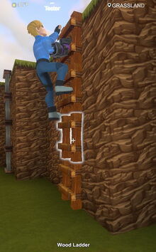 Creativerse wood ladder 2019-02-03 04-53-50-22 climbing images