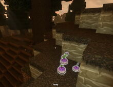 Creativerse turnip in tundra - taiga 2018-06-06 22-00-02-46.jpg