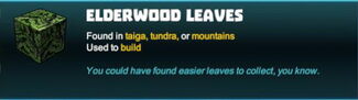 Creativerse leaves 2018-05-30 11-54-49-09.jpg