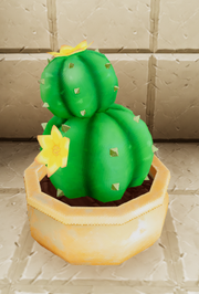 Terracotta planter with cactus