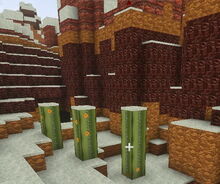 Creativerse Cacti with snow on top001.jpg