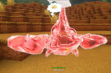 Creativerse hauntster pet 2018-11-12 21-45-06-1302.jpg