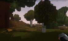 Creativerse Woodlands0101.jpg