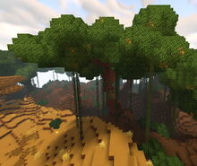 Creativerse wildwood 2019-05-26 23-26-40-47.jpg
