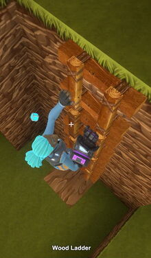 Creativerse wood ladder 2019-02-03 04-08-13-15 climbing images