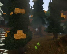 Creativerse Beehives on Elderwood100.jpg