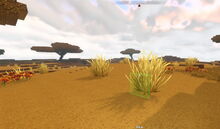 Creativerse shrubs in savannah 2018-07-02 16-18-57-55.jpg