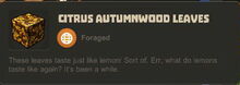 Creativerse Leaves Citrus Autumnwood01