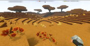 Creativerse Savannah with Wildflower48118