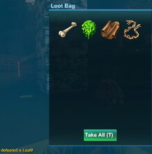 Creativerse Leafi Sinew 2018-08-25 03-05-42-36.jpg