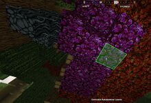 Creativerse corrupted autumnwood leaves 2019-05-03 17-41-30 0166 corrupt trees.jpg