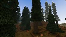 Creativerse elderwood trees 2019-05-27 12-31-21-70.jpg