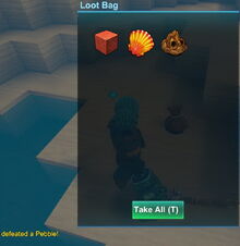 Creativerse seashells pebble 2019-04-23 17-00-10-1629