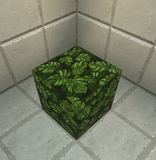 Creativerse leaves 2019-02-07 01-59-51-45.jpg