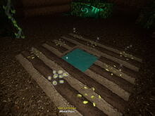 Creativerse wheat seeds 2017-08-11 22-22-27-20.jpg