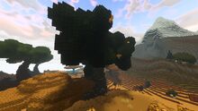 Creativerse Elderwood 2017-02-20 15-35-54-53.jpg