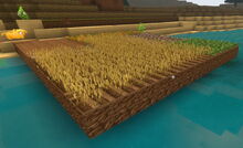 Creativerse farm over water 2018-08-19 02-51-25-16.jpg