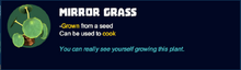 Mirror grass desc