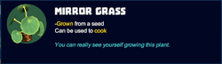 Mirror grass desc.png