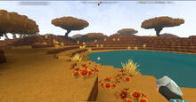 Creativerse Savannah1675.jpg