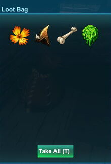 Creativerse cactus flower dropped by dried leafi 2018-04-15 02-28-28-28.jpg