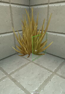 Creativerse shrub 2 blocks tall 2018-07-02 15-12-43-19.jpg