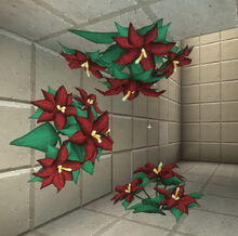 Creativerse poinsettia 2018-12-20 05-27-06-37.jpg