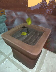 Creativerse sapling flower pot 2017-07-29 11-49-47-19 saplings.jpg