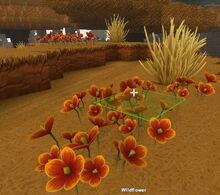 Creativerse Wildflowers Savannah3838.jpg