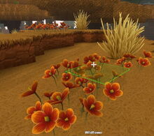 Creativerse Wildflowers Savannah3838