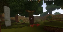 Creativerse Woodlands2884.jpg