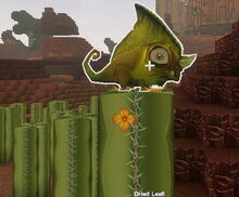 Creativerse dried leafi on a cactus01