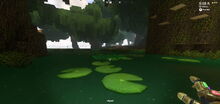 Creativerse lilypad 2018-07-01 21-09-25-41.jpg