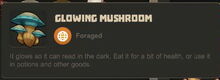 Creativerse Glowing Mushroom3003.jpg