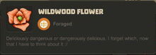 Creativerse Wildwood Flower3191