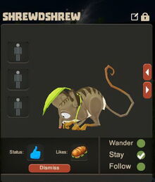 Creativerse Shrewdshrew Pet eating3003.jpg