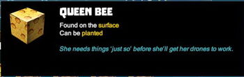 Creativerse queen bee 2017-08-18 12-02-35-12