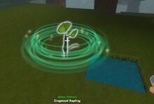 Creativerse saplings fertilized001.jpg