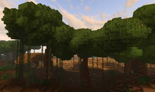 Creativerse dark wildwood 2019-06-01 10-05-03-54.jpg