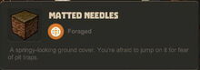 Creativerse Matted Needles100.jpg