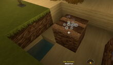 Creativerse Wheat Seeds watered001.jpg