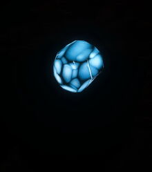 Creativerse arcstone in the dark 2018-04-13 19-03-32-21.jpg