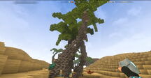 Creativerse Dunes2577.jpg